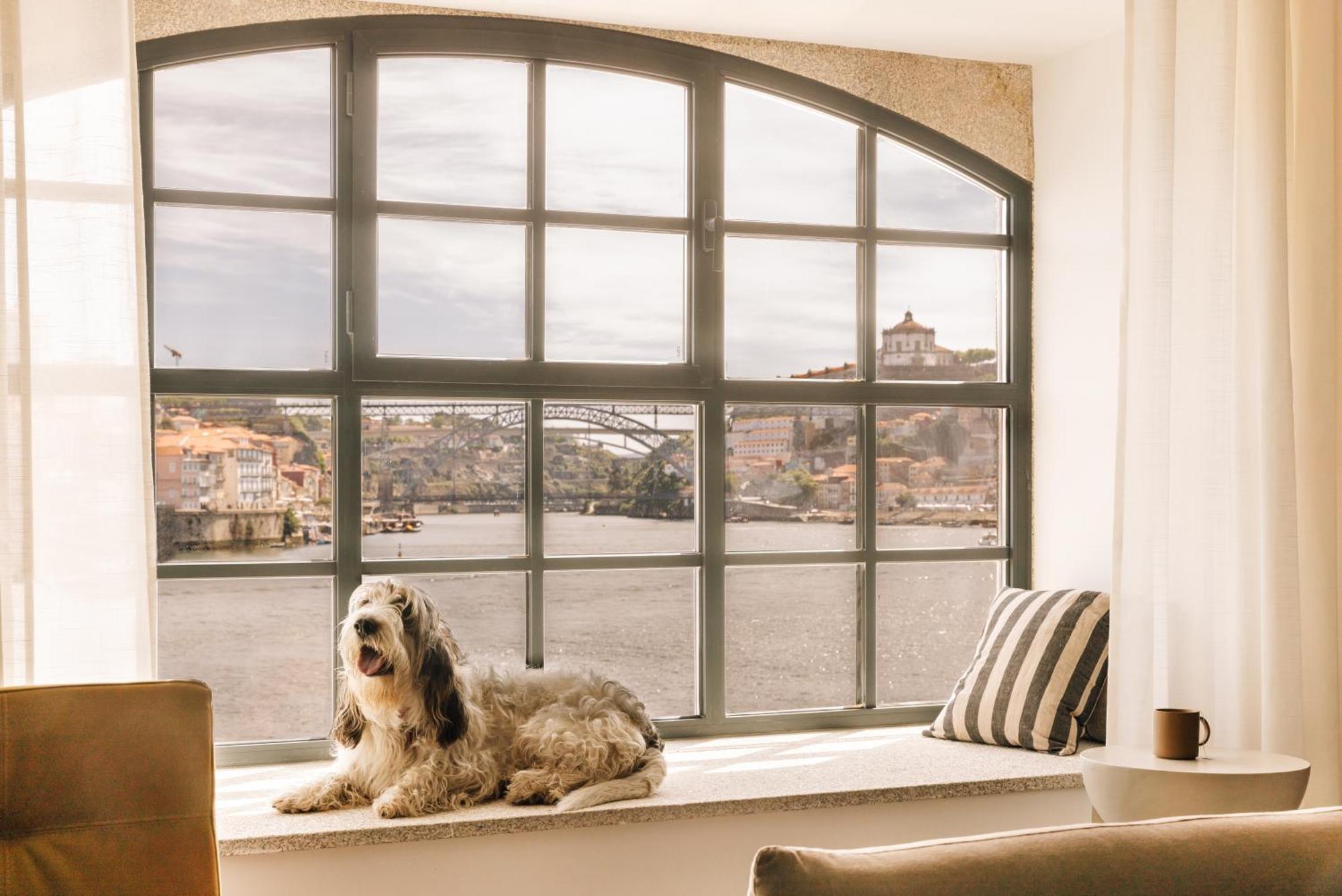 The Rebello Hotel & Spa - Small Luxury Hotels Of The World 빌라노바데가이아 외부 사진 A window with a dog